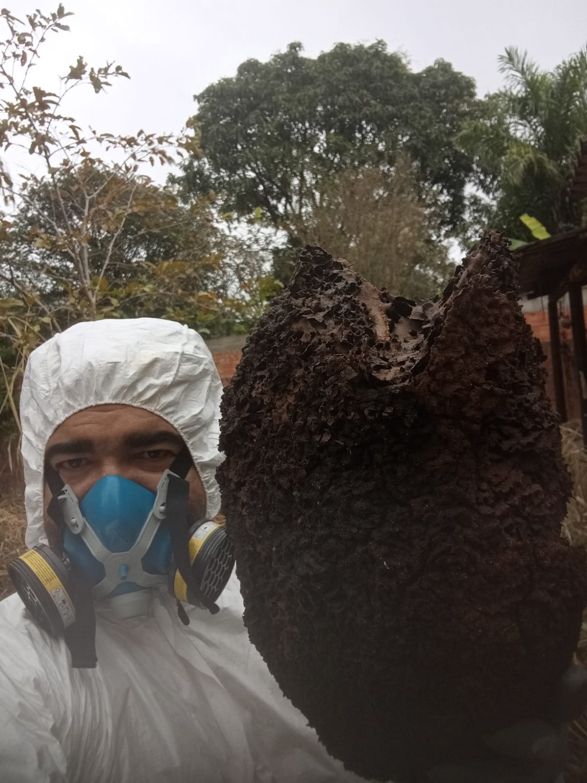 Profissional da CFAD junto a um foco de cupins em área externa
